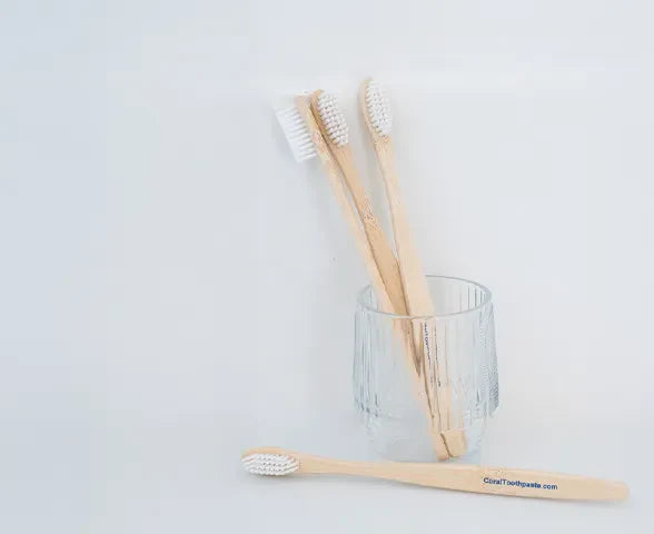 Why Your Toothbrush Matters More Than You Think