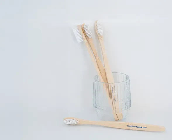 Why Your Toothbrush Matters More Than You Think