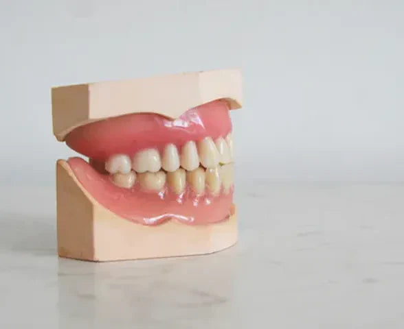 Can our teeth repair themselves?