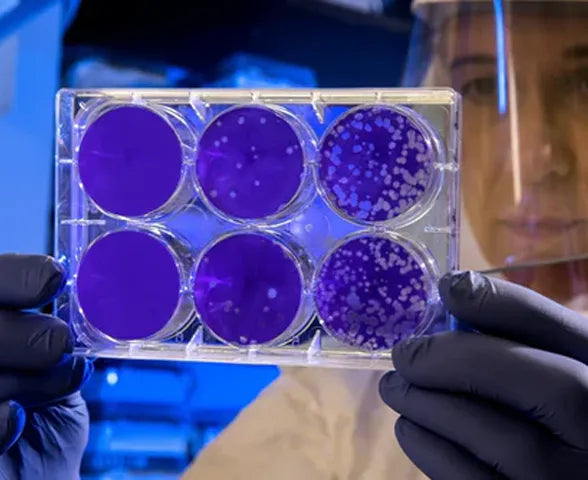 The Effects of Silver Nanoparticles