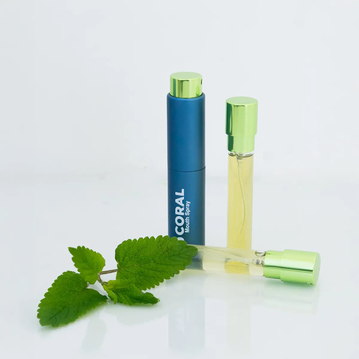 Mint Mouth Spray Starter Kit