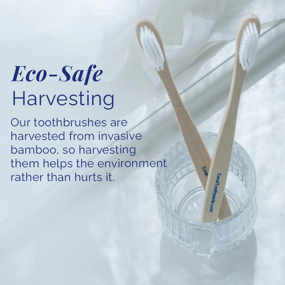 Eco-safe bamboo toothbrushes for adults made from sustainably harvested bamboo, shown in a clear glass holder with soft white bristles